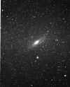 Andromeda 8x10 1.jpg (99127 bytes)