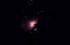 Orion Nebula 4x6 1.jpg (8549 bytes)